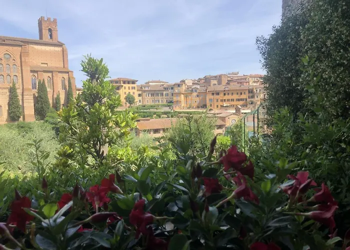 Daire Casa Sophia